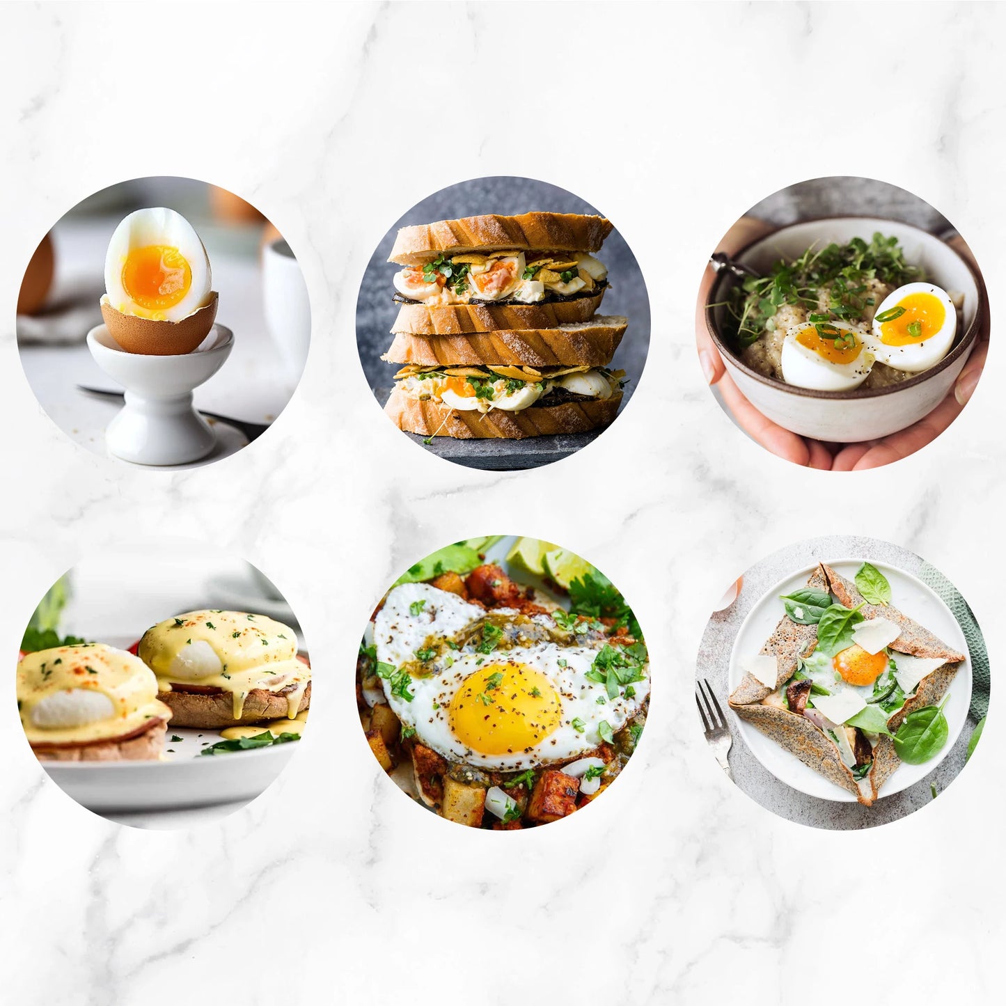 Electric Egg Cooker With Auto Shut Off For Poached Eggs