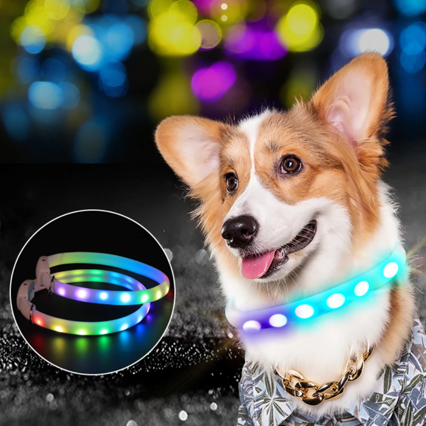 LED Light Up Safety Collar for Pets