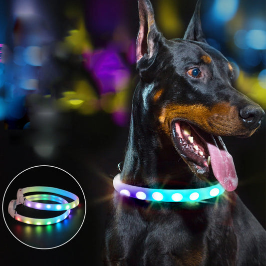 LED Light Up Safety Collar for Pets