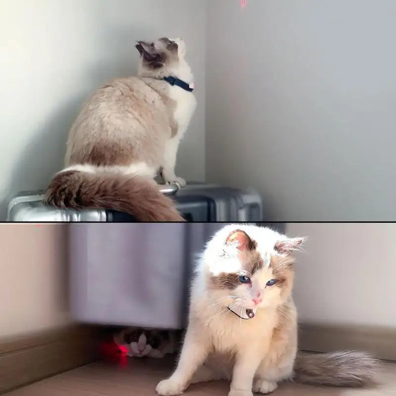 Wearable Cat Toys With LED Lights