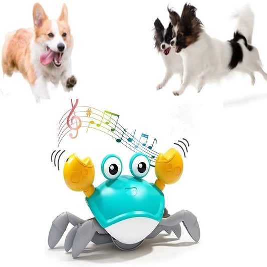 Interactive Dancing Crab Dog Toy With Musical Sounds
