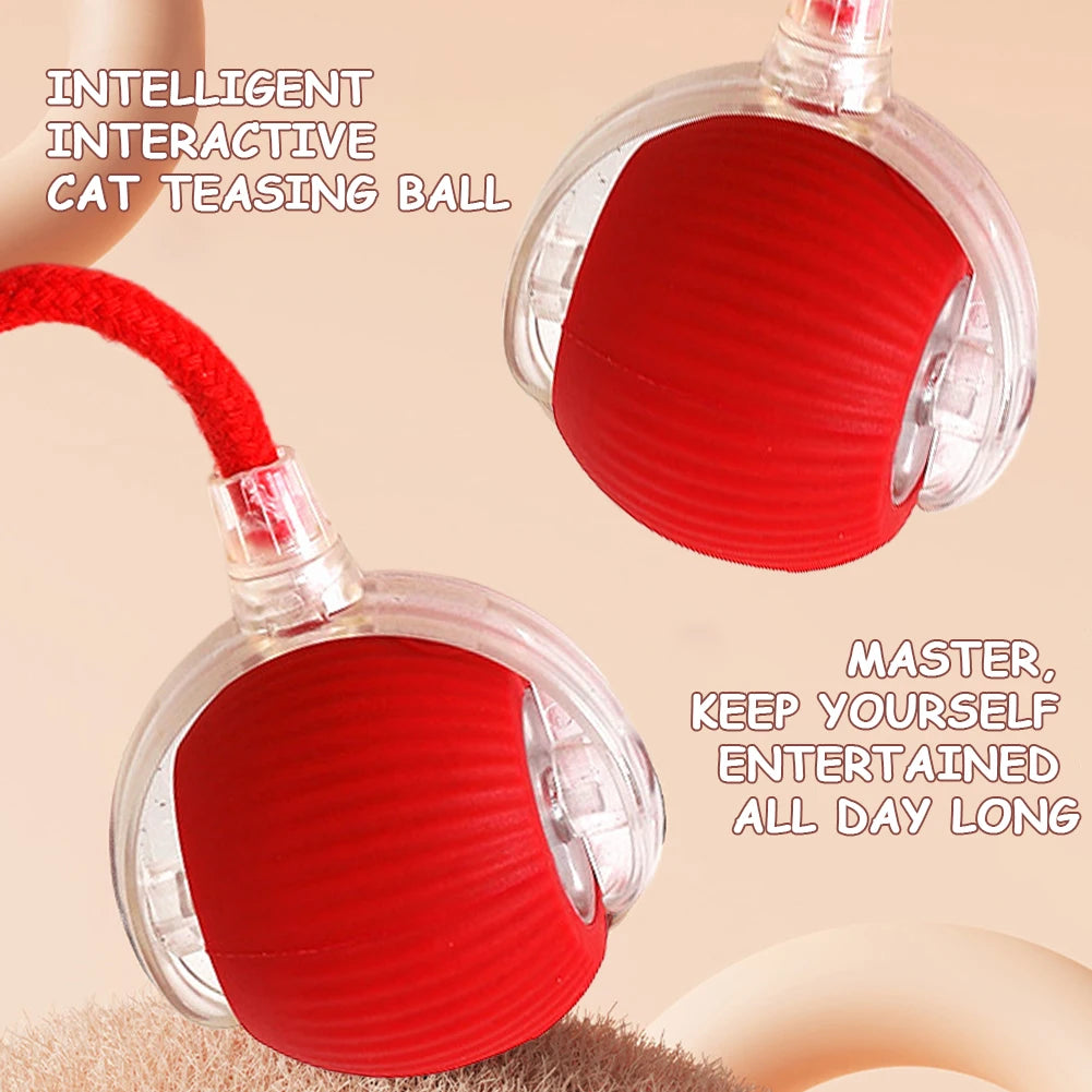 2PC/1PC Cat Interactive Ball Toys Automatic Rolling Rechargeable