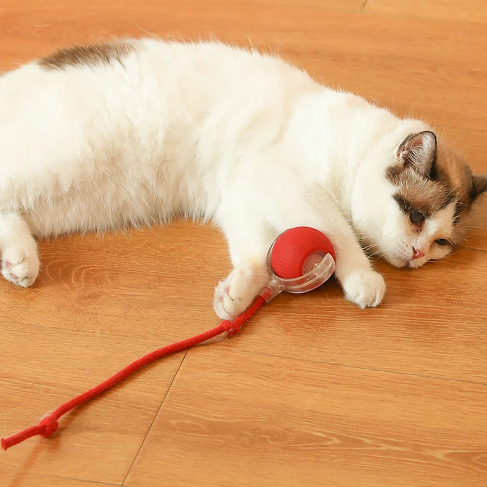 2PC/1PC Cat Interactive Ball Toys Automatic Rolling Rechargeable