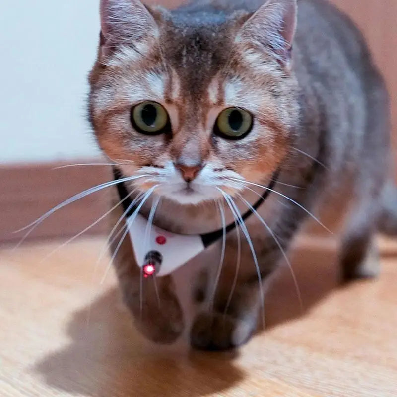 Wearable Cat Toys With LED Lights