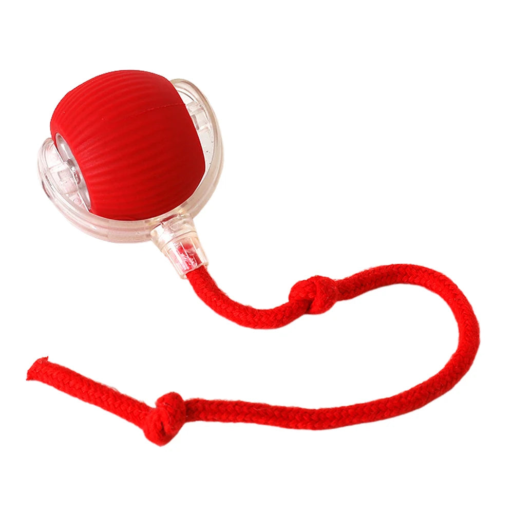 2PC/1PC Cat Interactive Ball Toys Automatic Rolling Rechargeable