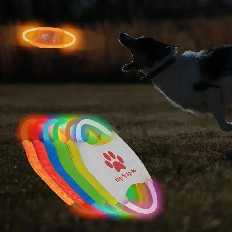 Dog Flying Discs 3 Modes led for Training