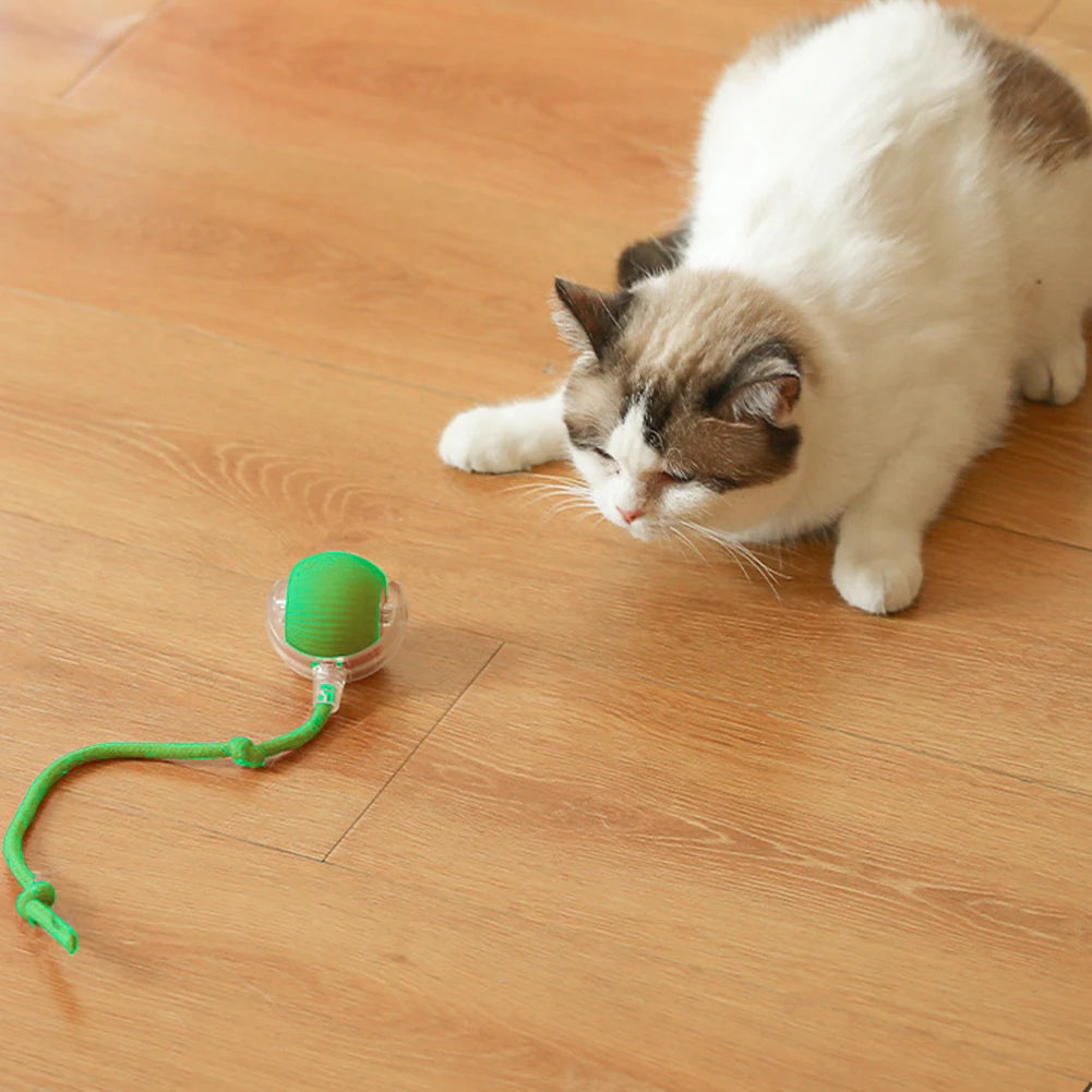 2PC/1PC Cat Interactive Ball Toys Automatic Rolling Rechargeable