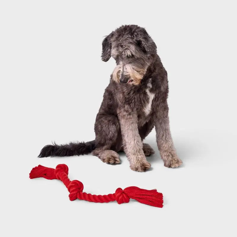 Durable Rope Dog Toy For Aggressive Chewers And Fetch