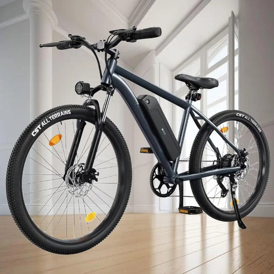 500W Electric Motorcycle for Adults with Powerful Lithium Battery